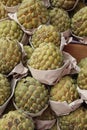 Cherimoya fruit Royalty Free Stock Photo