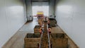 CHERKASSY, UKRAINE, SEPTEMBER 24, 2021: sorting potatoes. workers sort and cull freshly picked potatoes, on conveyor