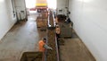 CHERKASSY, UKRAINE, SEPTEMBER 24, 2021: sorting potatoes. workers sort and cull freshly picked potatoes, on conveyor