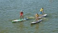 Three paddlers on SUP boards on water.
