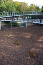 Cherkasy, Ukraine, September 2019. Modern zoo, deer territories. People go over the bridge