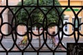 Chernivtsi, Ukraine, 25.08.2019: Photo through the forged gates, pedestrian street of the old city