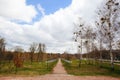 CHERNOBYL, UKRAINE - APRIL 15, 2019: Alley of Memory Star Wormwood. Memorial complex to resettled villages in Chornobyl exclusion