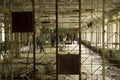 Tourists in an abandoned building in the town of Pripyat