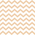 Cheron seamless pattern. Beige zigzag vector texture. Herringbone colorful background. Vector