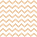 Cheron seamless pattern. Beige zigzag vector texture. Herringbone colorful background. Vector