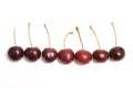 Cherries Royalty Free Stock Photo