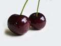 Cherries Royalty Free Stock Photo