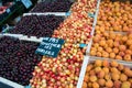 Cherries and appricots Royalty Free Stock Photo