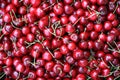 Cherries background Royalty Free Stock Photo