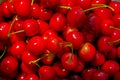 Cherries background Royalty Free Stock Photo