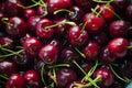 Cherries Royalty Free Stock Photo