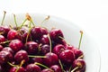 Cherries Royalty Free Stock Photo