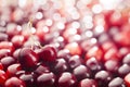 Cherries background Royalty Free Stock Photo