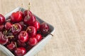 Cherries in a bowl Royalty Free Stock Photo