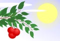 Cherries on a branch with sun and clouds, fruit, colors.