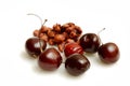 Cherries and cherry seeds