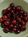 cherries close-up. Harvesting sweet cherries. Red ripe berry with a branch of a cherry tree Royalty Free Stock Photo