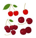 Cherries collection. Cherry and merry on white background. Raster illustration