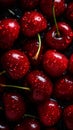 Cherries covered in water droplets against a dark background look very appetizing and tempting.