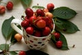 Cherries in a cup, fresh and juicy, snack Royalty Free Stock Photo