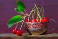 Cherries with cuttings and green leaves Royalty Free Stock Photo