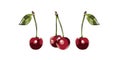 Color illustration of a cherrys on a white background. The curb. .