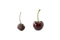 Cherries of different ages on a white background. Aging and youthfulness concept. Skin care. Wrinkles and old age