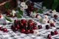 Cherries and flowers on checkered plaid in garden, summer picnic background. Generative AI