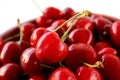 Cherries fruit