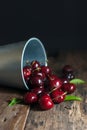 Cherries fruit was poured from the zinc bucket onto the rustic wooden floor. Royalty Free Stock Photo