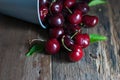 Cherries fruit was poured from the zinc bucket onto the rustic wooden floor, horizontal closeup Royalty Free Stock Photo