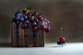 Cherries and grapes in an ant box