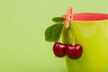 Cherries on green background Royalty Free Stock Photo