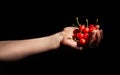 cherries in hand on black Royalty Free Stock Photo