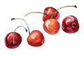 Cherries Hand drawn watercolor painting Royalty Free Stock Photo