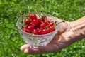 Cherries on hands Royalty Free Stock Photo