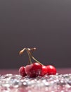 Cherries on Ice Royalty Free Stock Photo