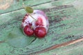 Cherries in ice. Frozen fruits. Royalty Free Stock Photo