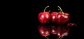 Cherries isolated on black background. Fresh ripe Cherry close-up. Organic red cherries isolated on black Royalty Free Stock Photo