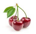 Cherries isolated Royalty Free Stock Photo