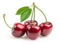 Cherries isolated Royalty Free Stock Photo