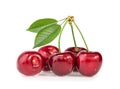Cherries isolated Royalty Free Stock Photo