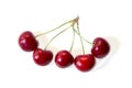 CHERRIES ISOLATED WHITE BACKGROUND Royalty Free Stock Photo