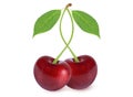 Cherries on an isolated white background Royalty Free Stock Photo