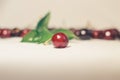 Cherries isolated in white background