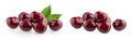 Cherries isolated on white background without shadow with clipping path Royalty Free Stock Photo