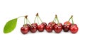 Cherries isolated on a white background Royalty Free Stock Photo