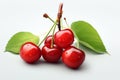 Cherries with leaves on a white background, close-up Royalty Free Stock Photo