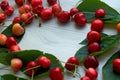 Cherries on a light background - copy space Royalty Free Stock Photo